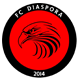FC Diaspora 2014